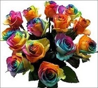 Rainbow Zest Florist 1095339 Image 3